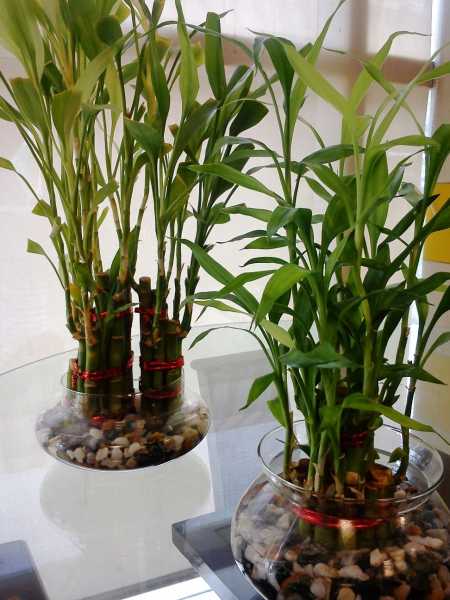 Yaad Hai Tumane Kaha Tha