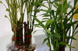 Yaad hai tumane kaha tha