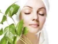 Yaaden Shayari For Friends