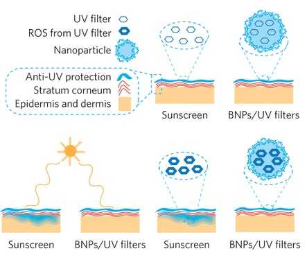 Yales Researchers Have Developed A New Type Of Sunscreen