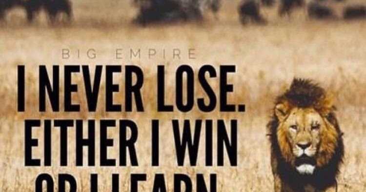 Year 5 Of Entrepreneurship