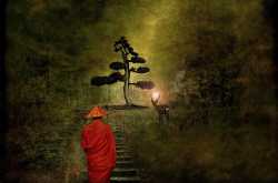 Year end to consolidate the progress