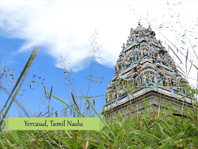 Yercaud - A Gem In Shevaroys Hills - Kaushik Rao