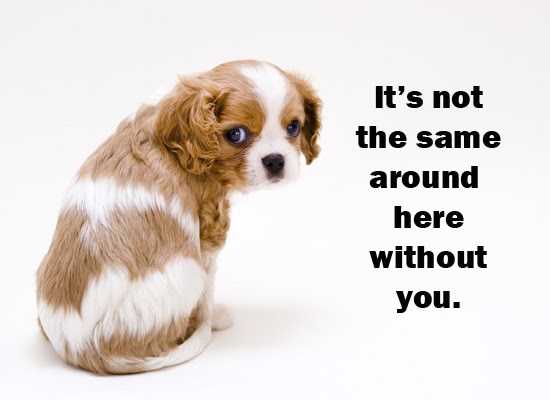 Yes, I Miss You: A Confession!