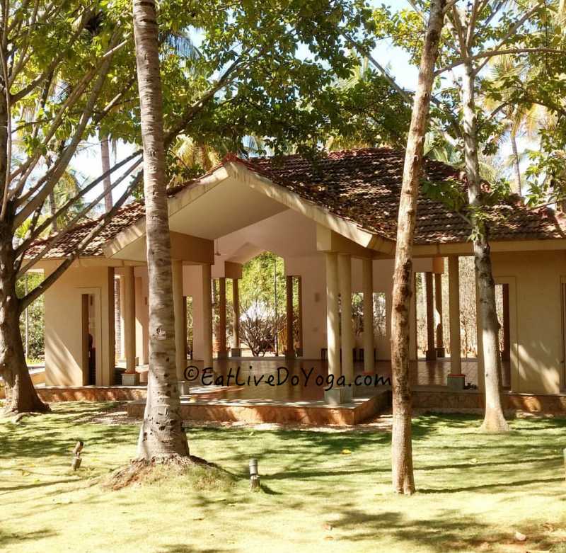 Yoga > Shreyas Yoga Retreat: My Journey Back On To The Yogic Path