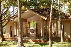 Yoga > Shreyas Yoga Retreat: My Journey back on to the Yogic Path