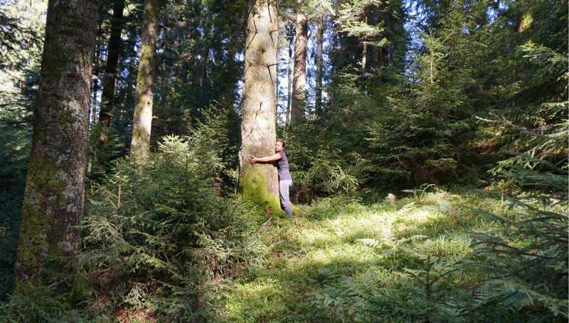 Yoga For Asthama | 7 Best Yoga Poses To Treat Asthma