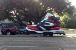 You Dont See That Every Day