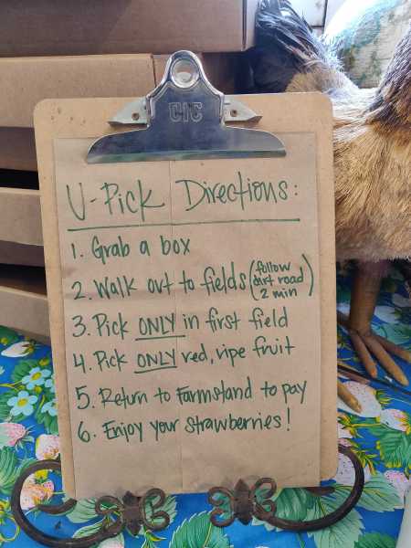 You Are Enough. Completeness Is A State Of Mind. Not A Purchase Decision