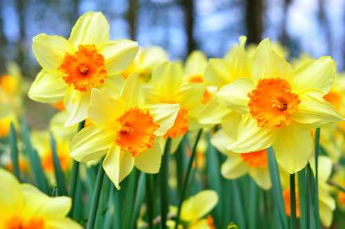 You Cannot Put Fire Out