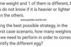 You have 19 eggs puzzle