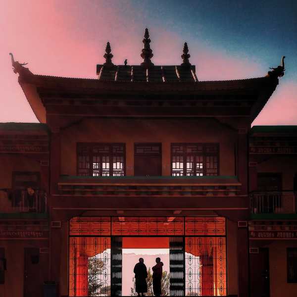 You’re Your Best Teacher!