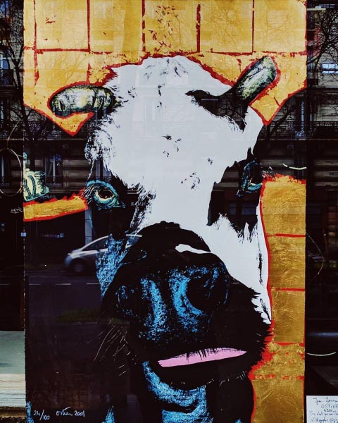 You Talkin’ To Me? #cow #cowbertdeniro #art #imsofunny