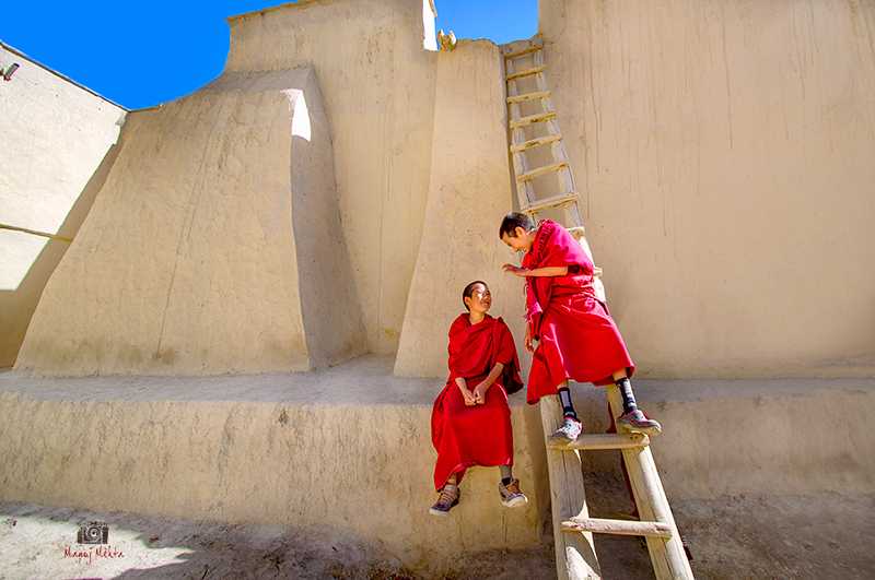 Young Monks In Conversation