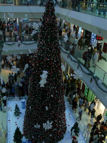 Your Pick, Either Way...