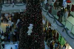 Your Pick, Either Way...