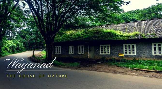 Your Access To This Site Has Been Limited