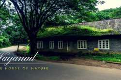 Your access to this site has been limited