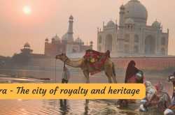 Your access to this site has been limited