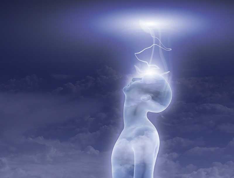 Your Dynamic Forecaster - YOUR INTUITION