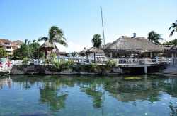 Yucatan Peninsula 6: Swimming with the dolphins