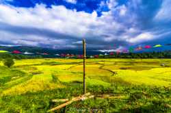 ZIRO FESTIVAL OF MUSIC â India\