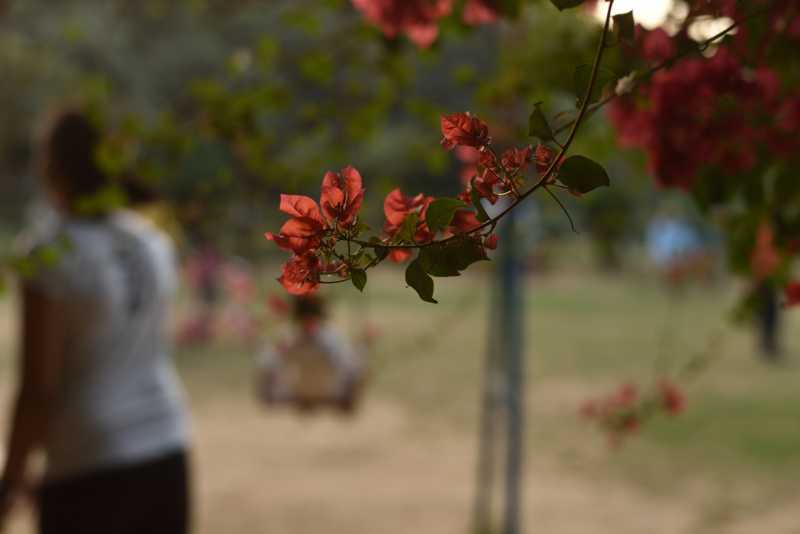 Zen #AtoZchallenge : Kalpanaawrites Haiku Women