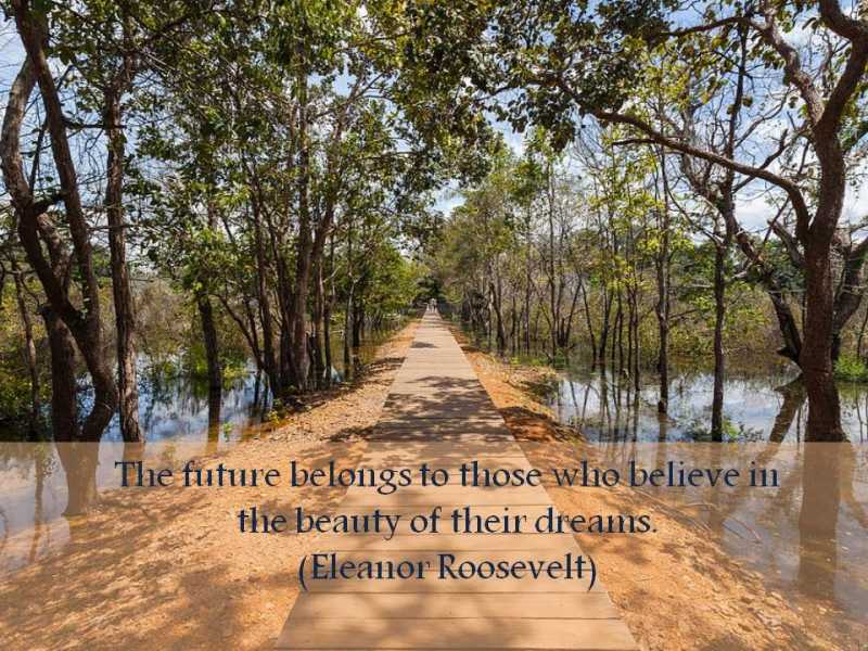 Zenith As I Dream  #ATOZCHALLENGE #1000SPEAK