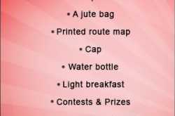 zingywalk - delhi sightseeing tours , delhi 1 day tour , best walking tours, delhi 