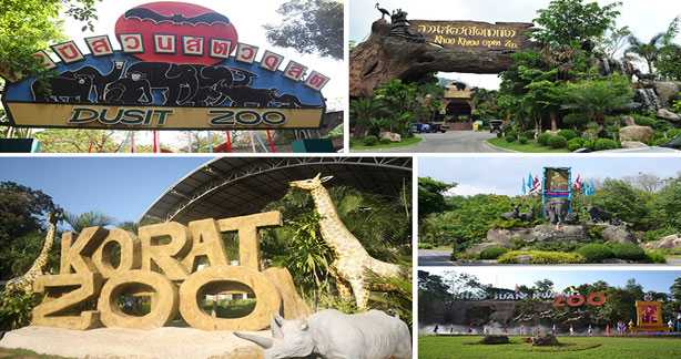 Zoos Offer Fathers Free Entry On Father