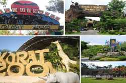 Zoos offer fathers free entry on Father\