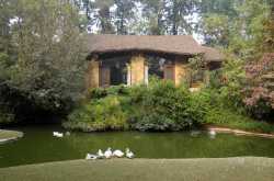 Zorba the Budhha @Ghitorni, Delhi