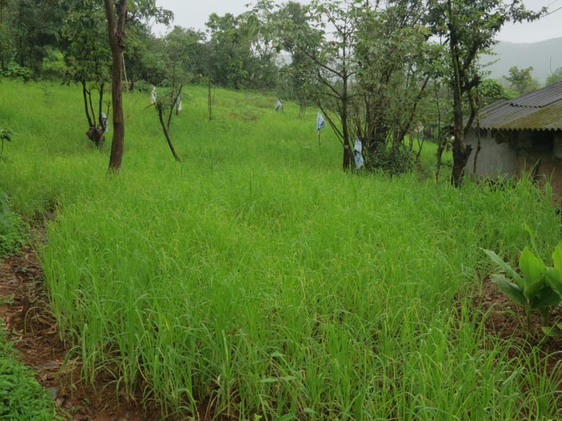 A Month In Slow Motion..