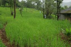 a month in slow motion..