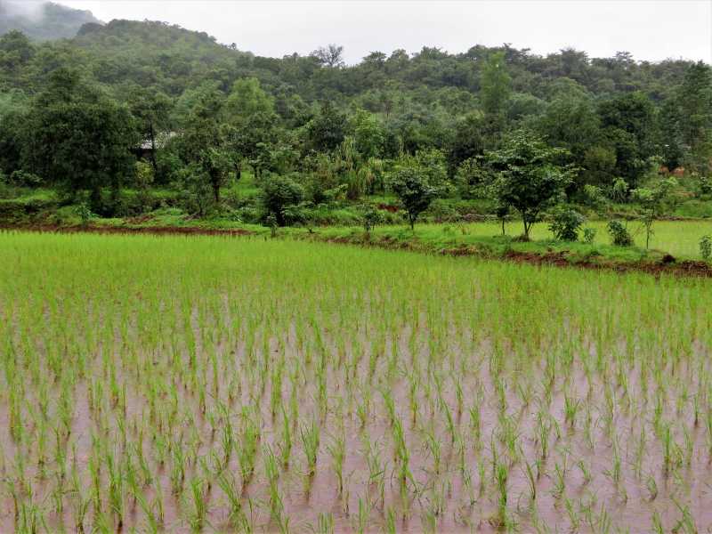 A Set Back & Other Stories…