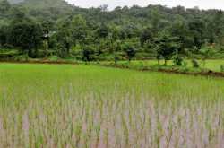 a set back & other stories…