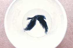 arty stories at the bottom of a paper cup - Curators of Quirk