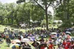 atlanta-jazz-festival-2010-the-pungo-strawberry-festival-2010-and-jones-beach-air-show