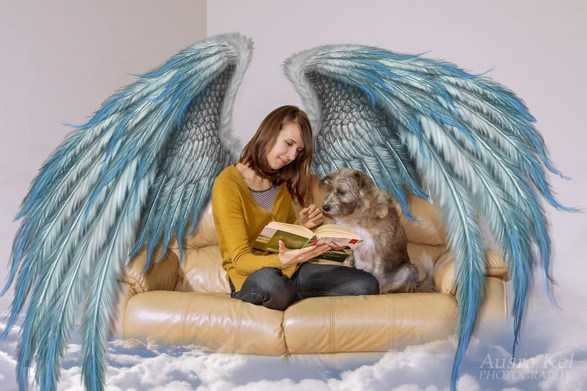 Ausra Kel Shows Us How Adopted Dogs Look At People Who Gave Them A New Lease Of Life - Curators Of Quirk