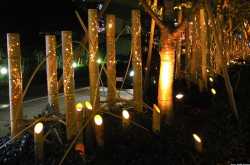 bamboo lights