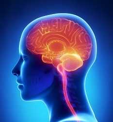 Brain Attack In Hindi दिमाग के दौरे के बारे में जानिए कुछ महत्वपूर्ण बातें