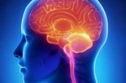 brain attack in hindi दिमाग के दौरे के बारे में जानिए कुछ महत्वपूर्ण बातें