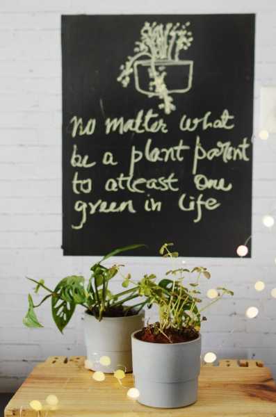 Eco-friendly Home And What Does It Take To Turn Your Home Into One