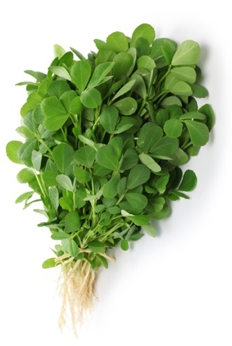 Ecosensorium.org&nbsp;-&nbspThis Website Is For Sale!&nbsp;-&nbsp Resources And Information.