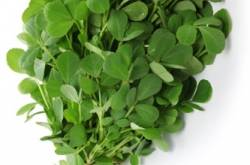 ecosensorium.org&nbsp;-&nbspThis website is for sale!&nbsp;-&nbsp Resources and Information.