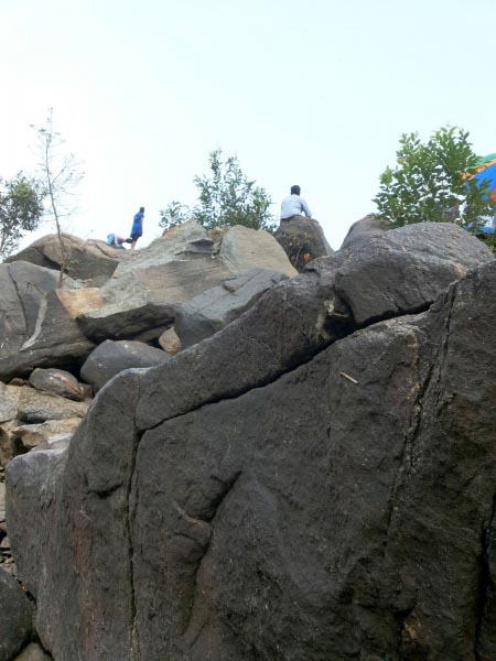 Ecosensorium.org&nbsp;-&nbspThis Website Is For Sale!&nbsp;-&nbsp Resources And Information.