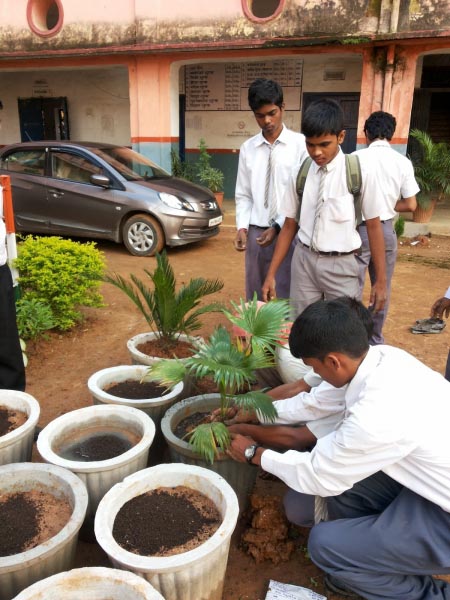 Ecosensorium.org&nbsp;-&nbspThis Website Is For Sale!&nbsp;-&nbsp Resources And Information.