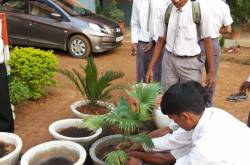 ecosensorium.org&nbsp;-&nbspThis website is for sale!&nbsp;-&nbsp Resources and Information.