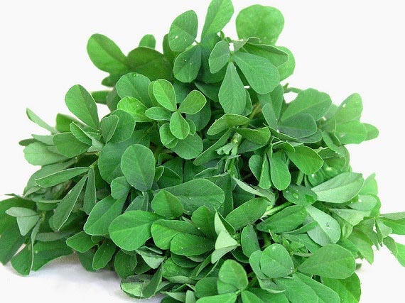 Ecosensorium.org&nbsp;-&nbspThis Website Is For Sale!&nbsp;-&nbsp Resources And Information.