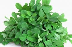 ecosensorium.org&nbsp;-&nbspThis website is for sale!&nbsp;-&nbsp Resources and Information.